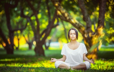 世界杯比分分析-苏格兰队新老交替提速 世界杯热点数据成焦点